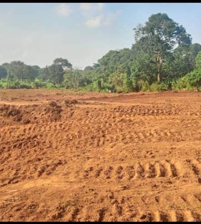 WhatsApp Image 2024-06-25 at 1.34.52 PM 1.jpeg